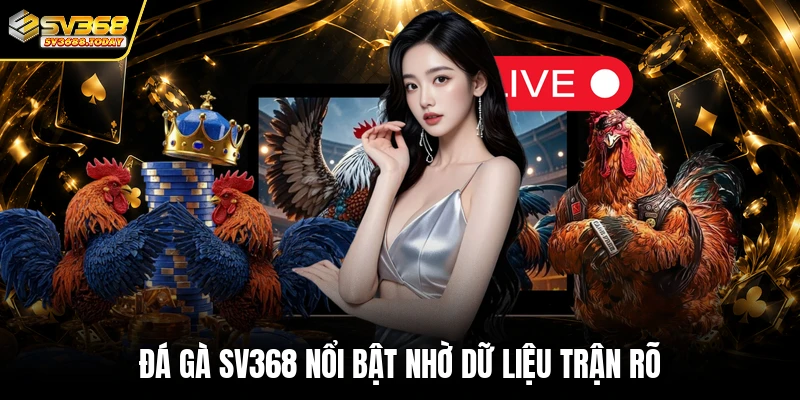 Đá gà SV368 nổi bật nhờ dữ liệu trận rõ